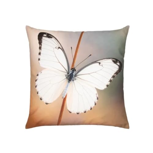 pad-concept-proflax-feena-beige-kissenh-lle-45-x-45-cm-schmetterling image 2